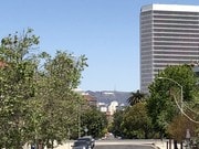 Hollywood sign view from yard - 1054 Masselin Ave Townhome