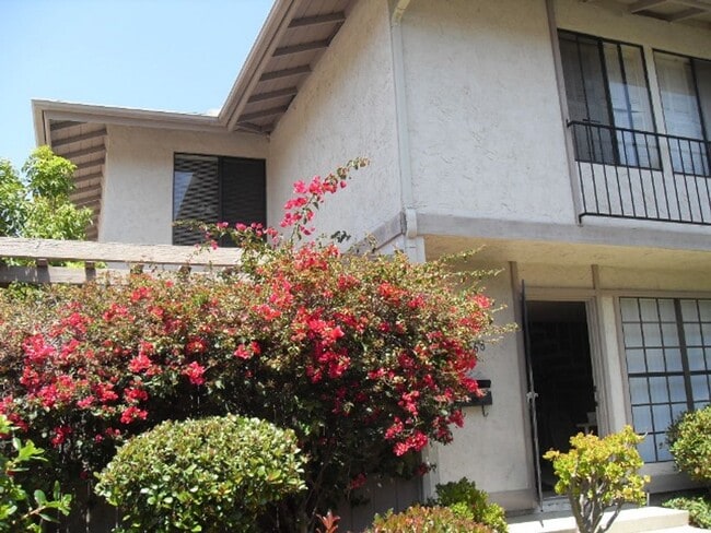 EASTER WAY-CONVENIENTLY LOCATED ON UCSD BU... - EASTER WAY-CONVENIENTLY LOCATED ON UCSD BU... House
