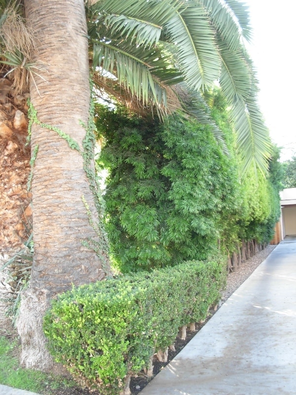 Photo - 1310 N Spurgeon St Unit D