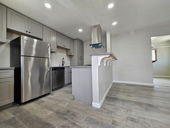 Photo - Bahama Palms