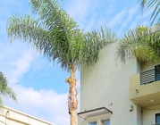 Photo - 11851 Laurelwood Dr Unit 112