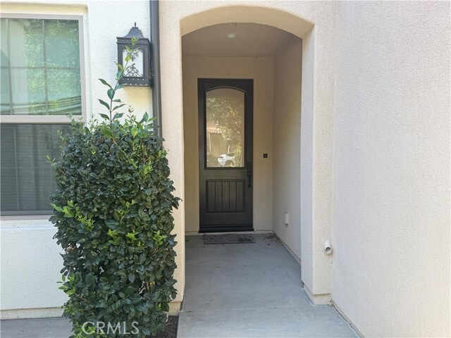 Photo - 149 Tubeflower