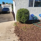 Front & Backyard covered with water conserving bark - 720 Jewell Dr House
