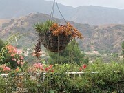 Photo - 3350 Deaver Dr