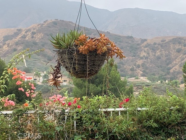 Photo - 3350 Deaver Dr