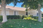 Mature Eucalyptus trees in front of Eucalyptus Apartments in Moreno Valley, California. - Eucalyptus Apartments