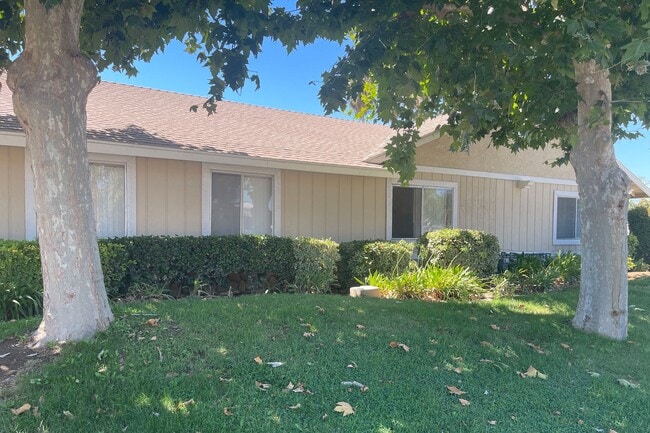Mature Eucalyptus trees in front of Eucalyptus Apartments in Moreno Valley, California. - Eucalyptus Apartments