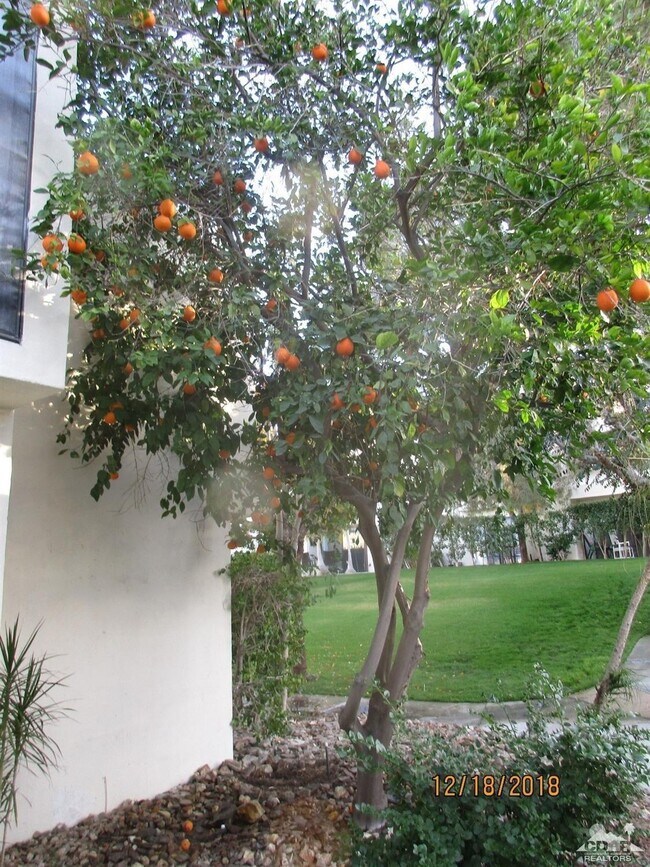 Photo - 48728 Desert Flower Dr