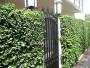 Photo - 5121 Ledge Ave