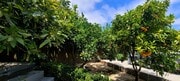Photo - Midtown Ventura 3+2 Single Family Home $52...