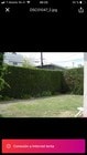 Photo - 2317 Boone Ave