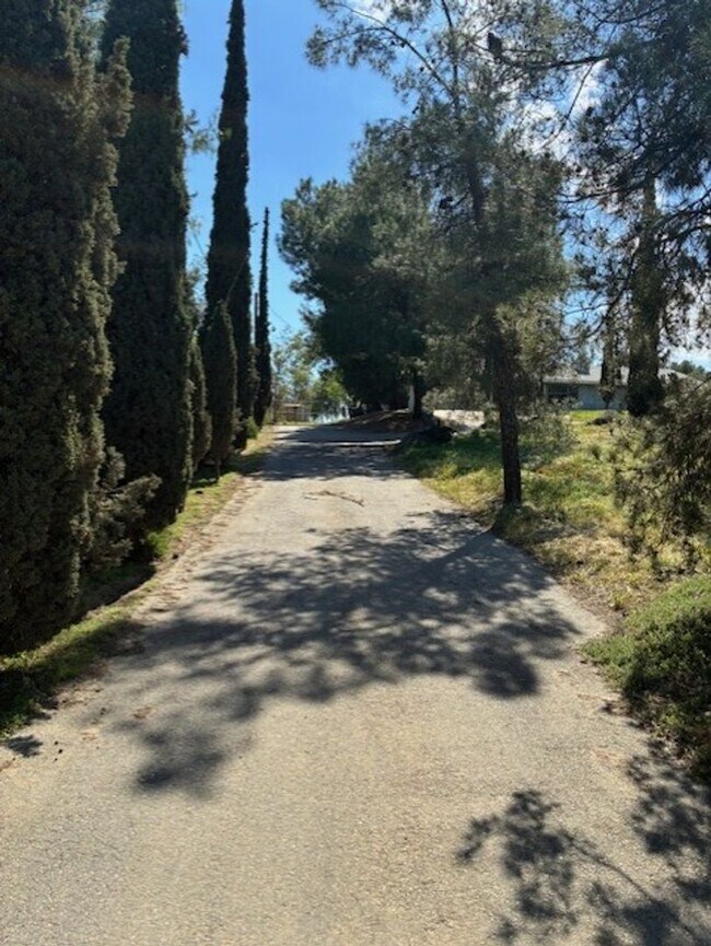 Photo - 21331 Rider St