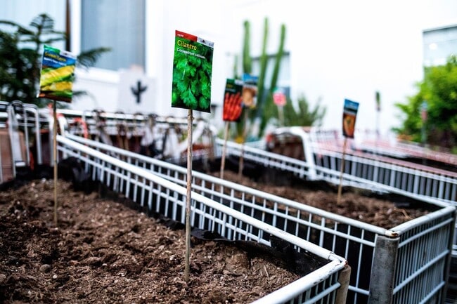 Photo - Community @ Mi Apartamento 2 Bedroom (1 Be... Unit 14