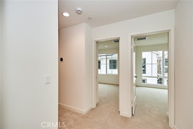 Photo - 4581 Amaranth Ln