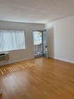Photo - 437 Palm Dr Apartment Unit A