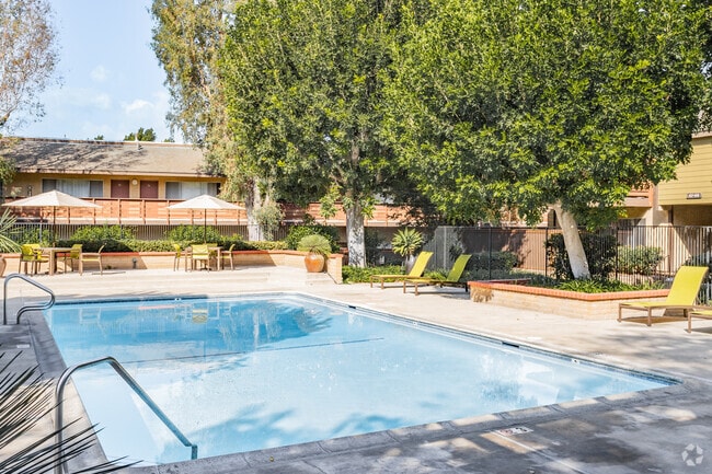 Pool - Canyon Pines Apartments