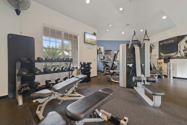 Photo - Cambridge Park