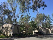 tree shaded grounds - 600 Central Ave Unit 346