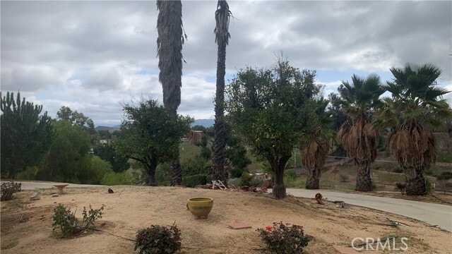 Photo - 35800 Calle Nopal