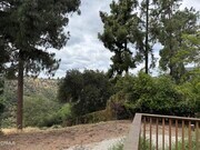 Photo - 4119 Aralia Rd