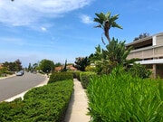 The pool, mail box, or Luciernaga street can be accessed from the downstairs bedrooms through secluded path. - 2838 Luciernaga St