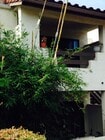 Balcony/Veranda - 2425 Cranston Dr Condo Unit #218