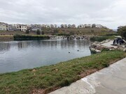 Photo - 41 Little Owl Ct