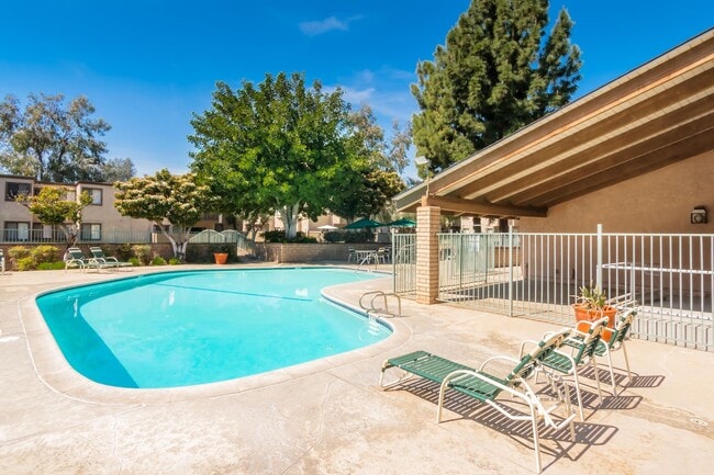 Photo - Spring Tree Apartments