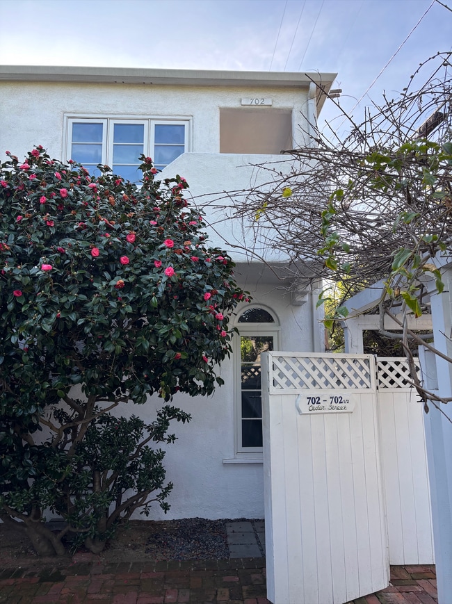 Building Photo - 702 Cedar St Unit 702 Cedar